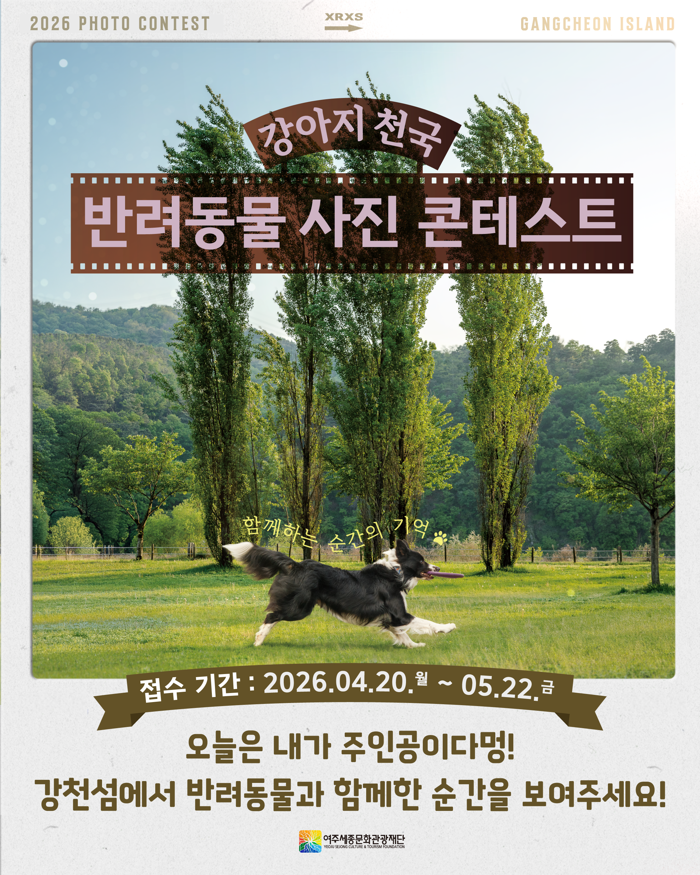 '강아지천국' 반려동물 사진 콘테스트 포스터